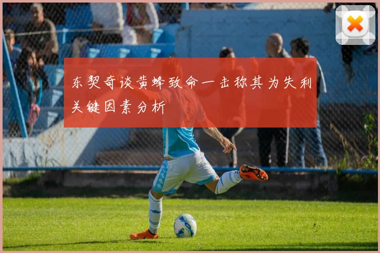 东契奇谈黄蜂致命一击称其为失利关键因素分析