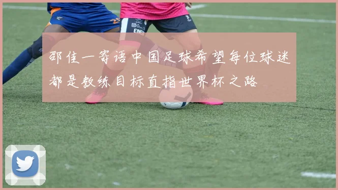 邵佳一寄语中国足球希望每位球迷都是教练目标直指世界杯之路