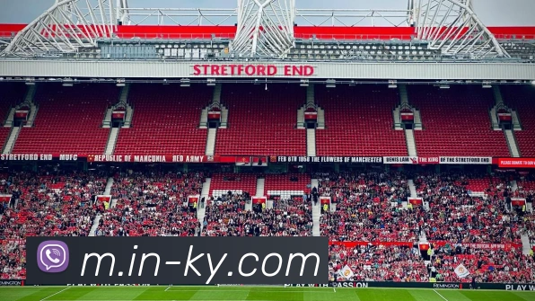 数据分析功能